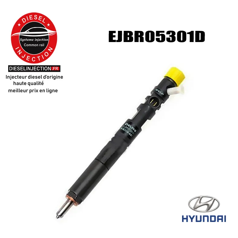 Injecteur DELPHI EJBR05301DEJBR05301D