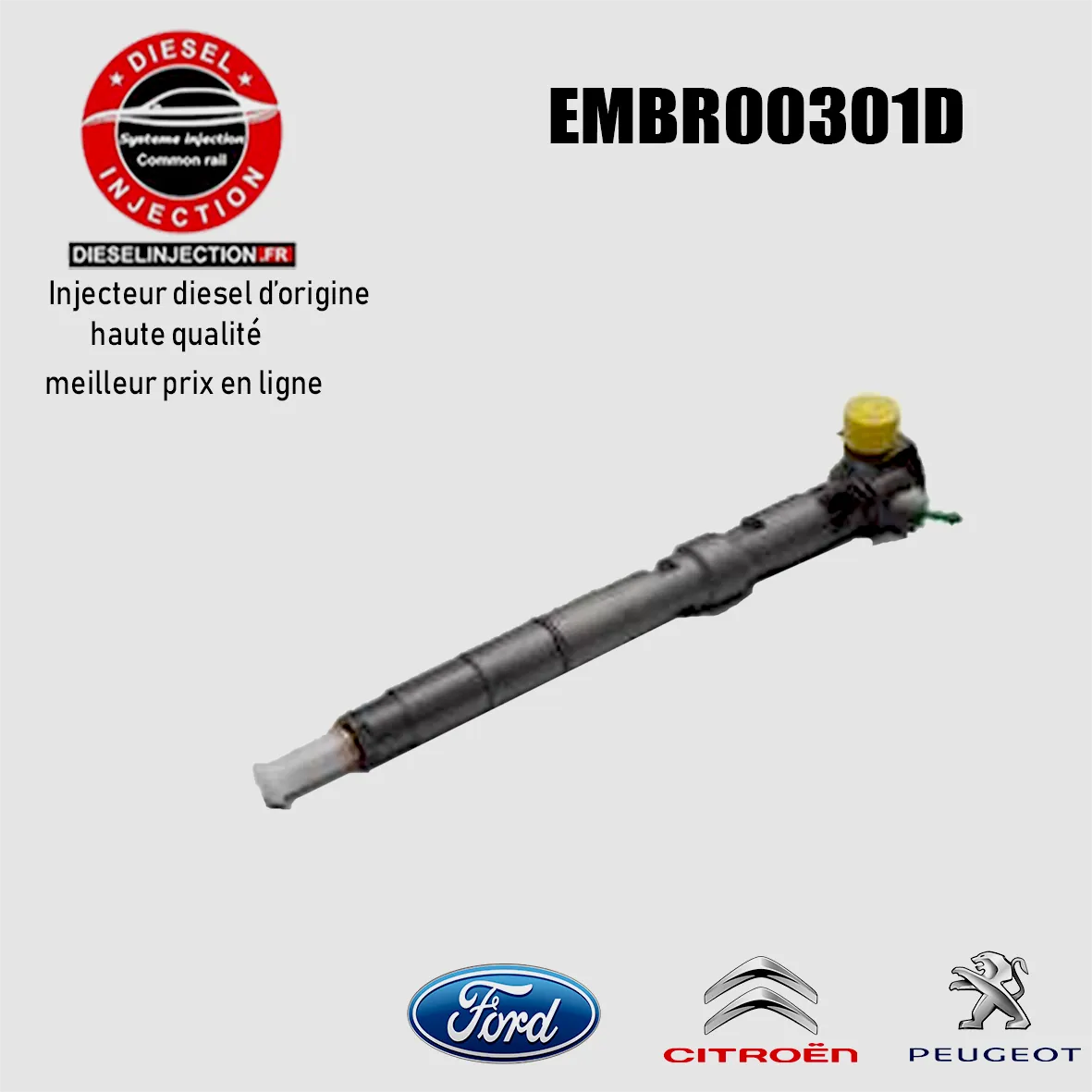 Injecteur Delphi EMBR00301D NeufEMBR00301D