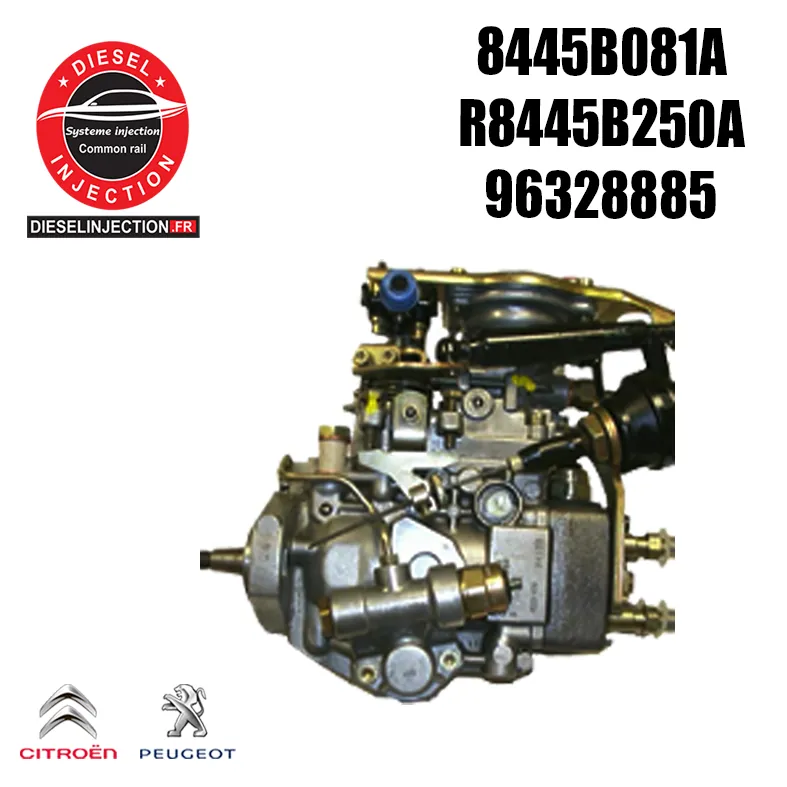 Pompe à haute pression DELPHI 8445B081A8445B081A