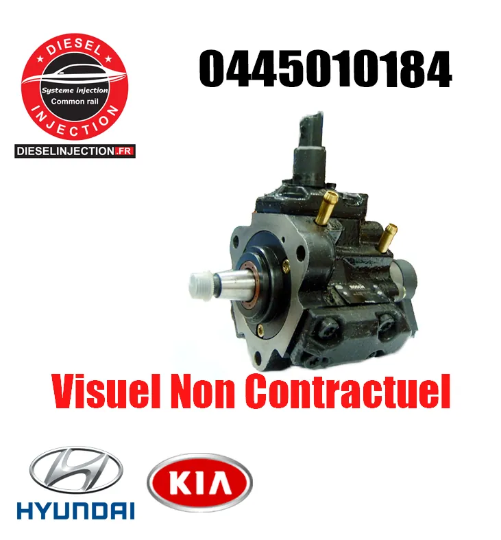 Pompe à haute pression BOSCH 04450101870445010187