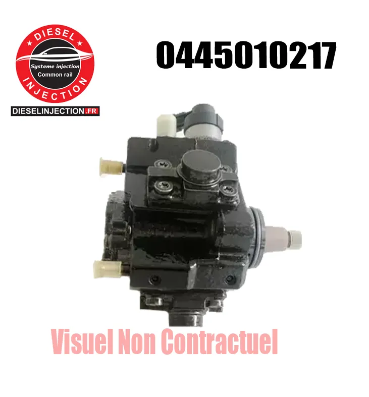 Pompe à haute pression BOSCH 04450102170445010217