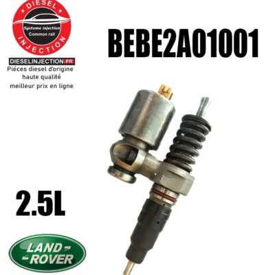 Injecteur DELPHI BEBE2A01001BEBE2A01001