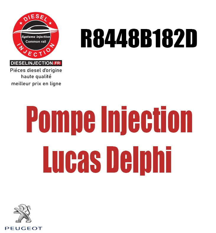 Pompe Injection Lucas Delphi R8448B182DR8448B182D
