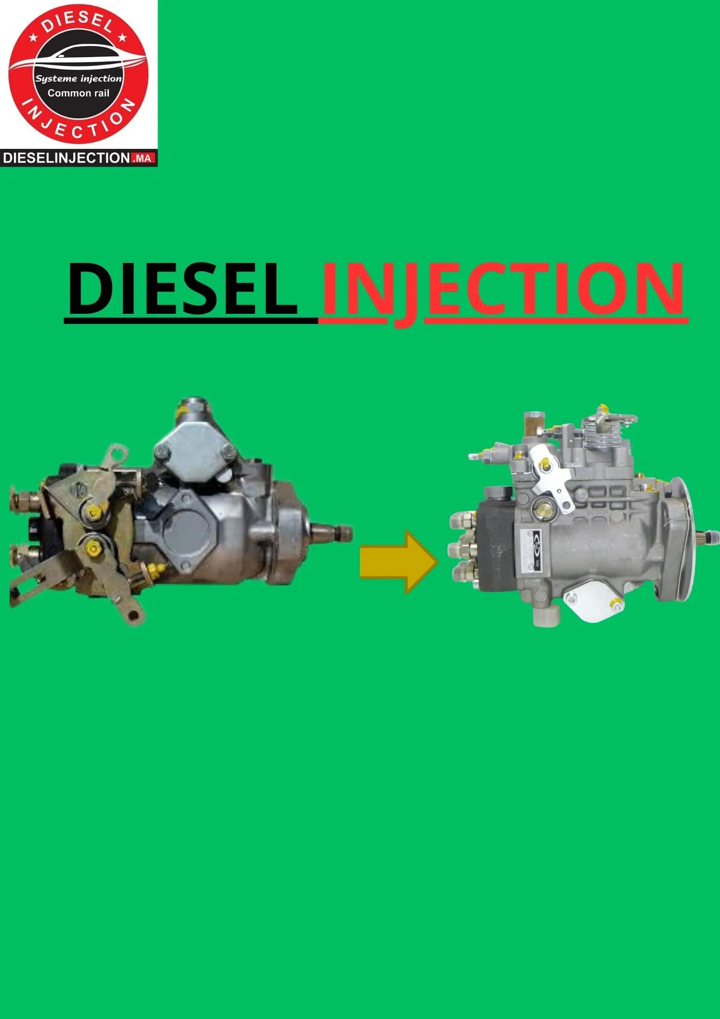 Pompe à injection BOSCH 04603040600460304060