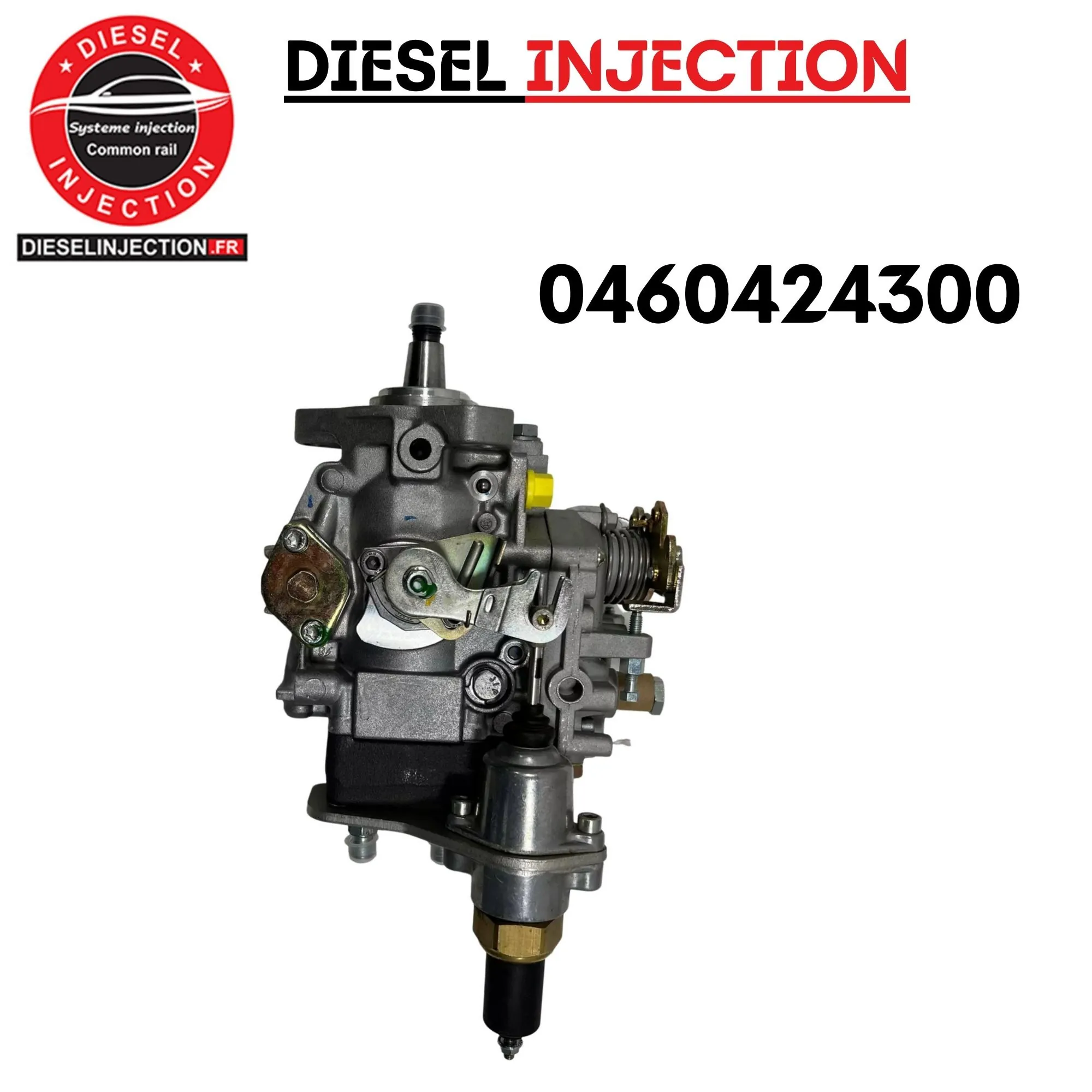 Pompe à injection BOSCH 04604243000460424300