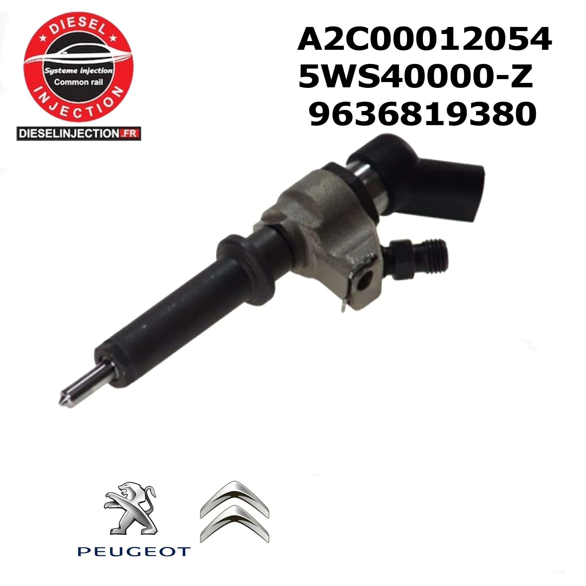 Injecteur SIEMENS VDO 96368193805WS4000 N A2C00012054 9652173680 9652173780