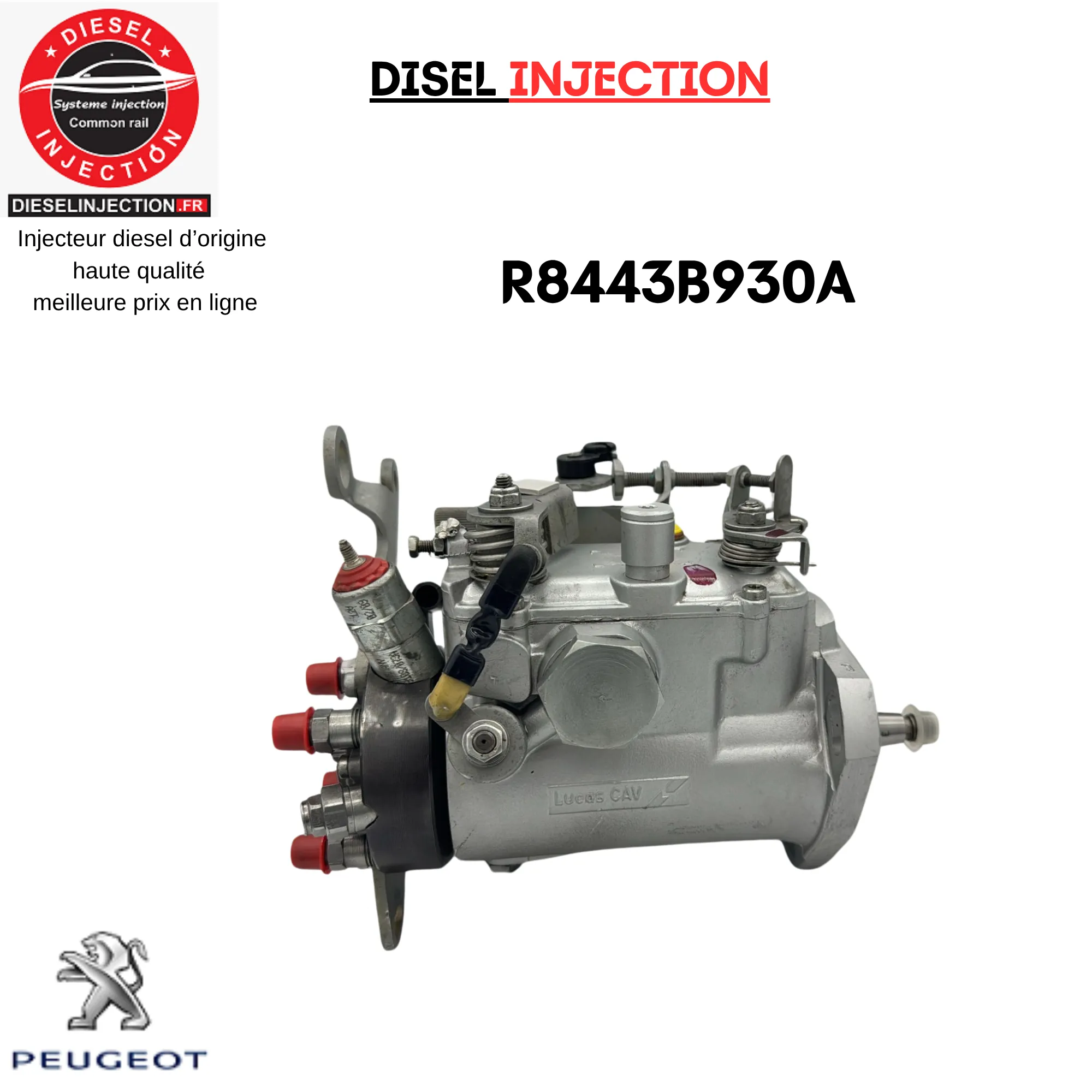 Pompe Injection R8443B930A Delphi Peugeot / Citroen 1.9 D (XUD9)R8443B930A R8443B931A R8443B932A