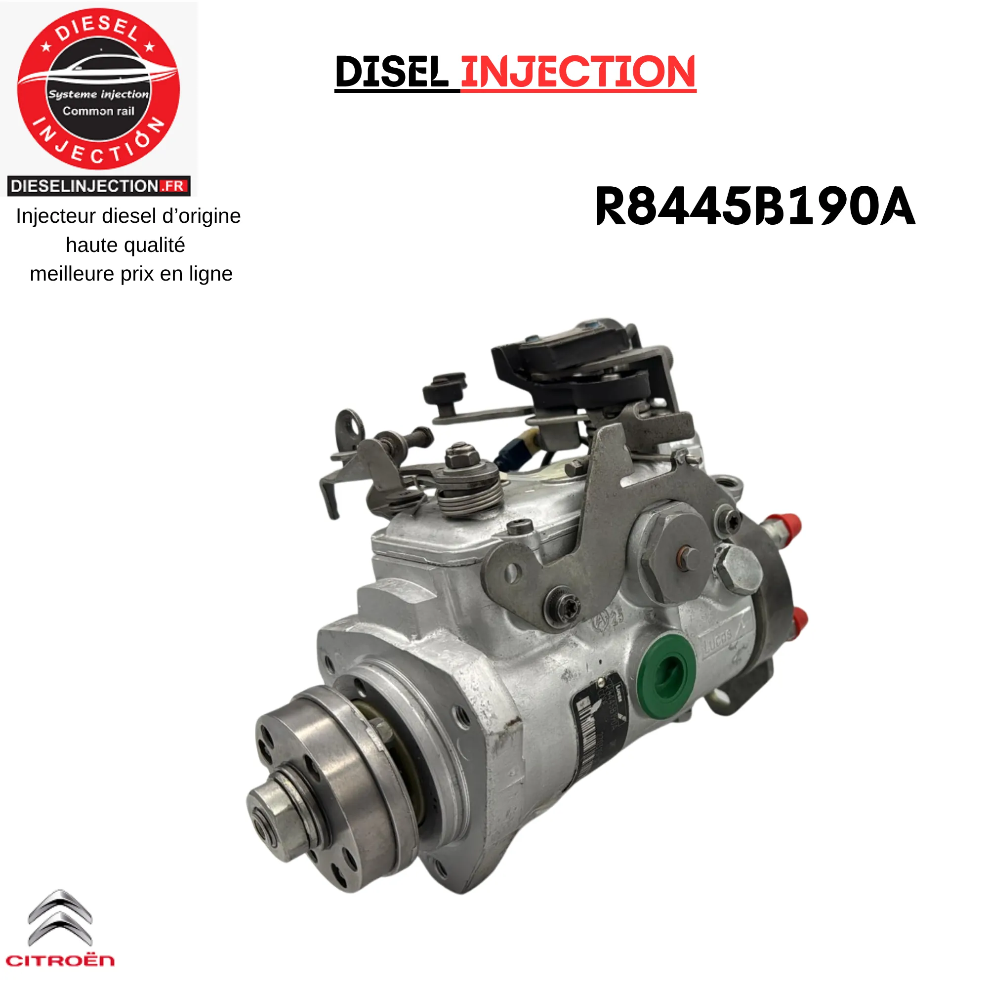 Pompe Injection R8445B190A R8445B191B Delphi Citroen Saxo 1,5 D (Type TUD5)R8445B190A R8445B191B R8448B182B R8448B391A