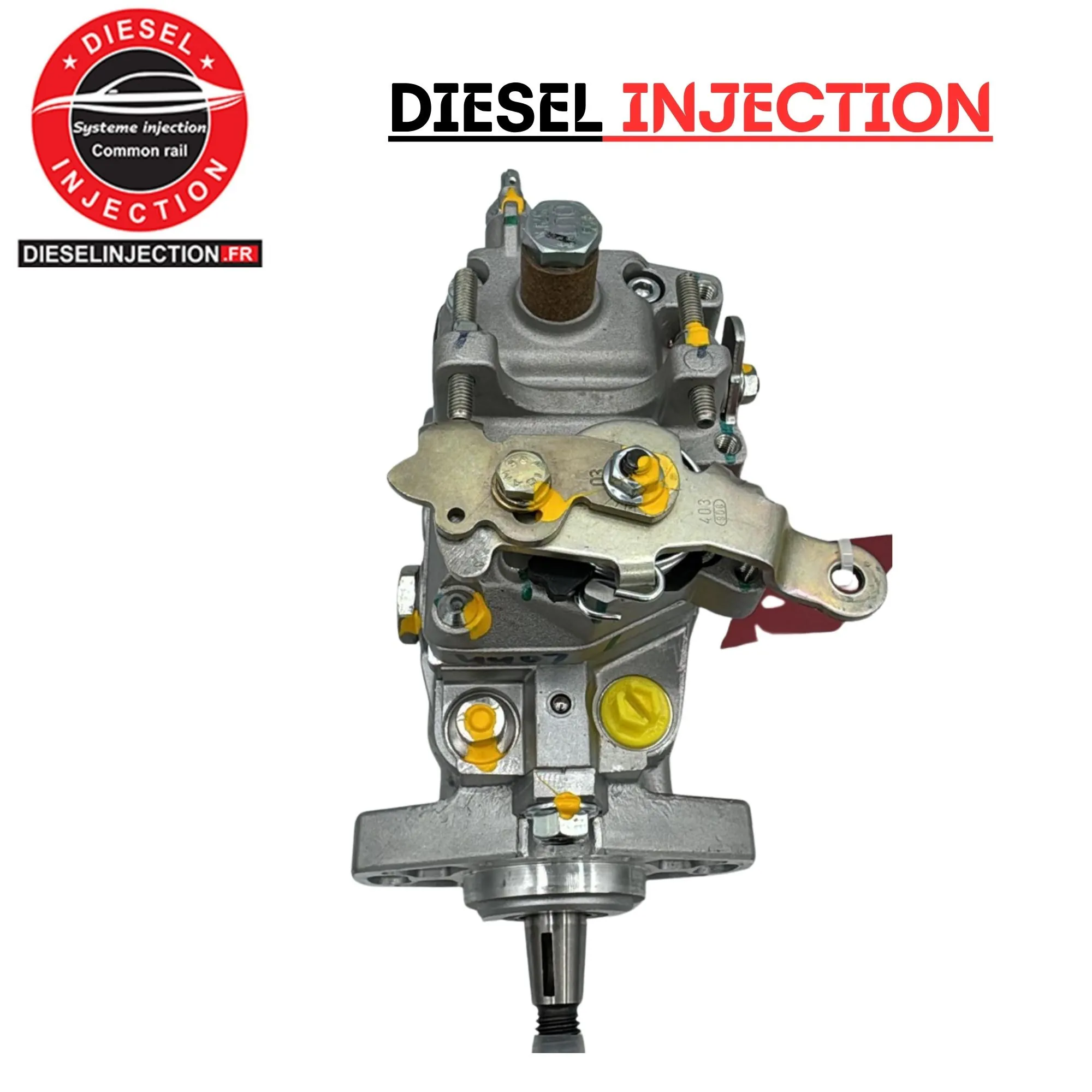 Pompe à injection 0460306250 Remplaçente